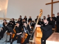 photo-3